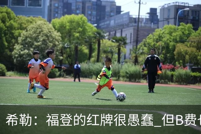 希勒：福登的红牌很愚蠢 但B费也应该被红牌罚下，如果罚就都得罚